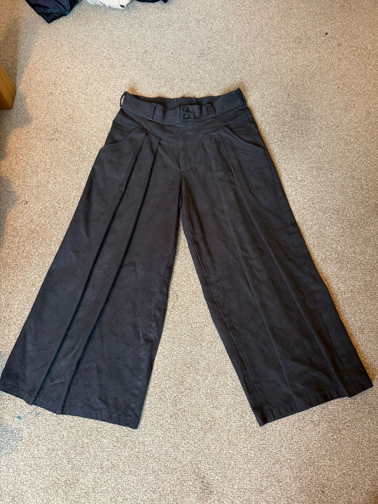 Pleated Upholstery Trousers v1 image 1